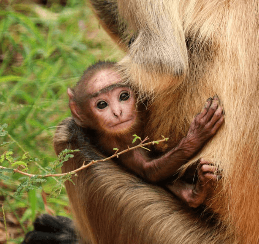 Lake Manyara